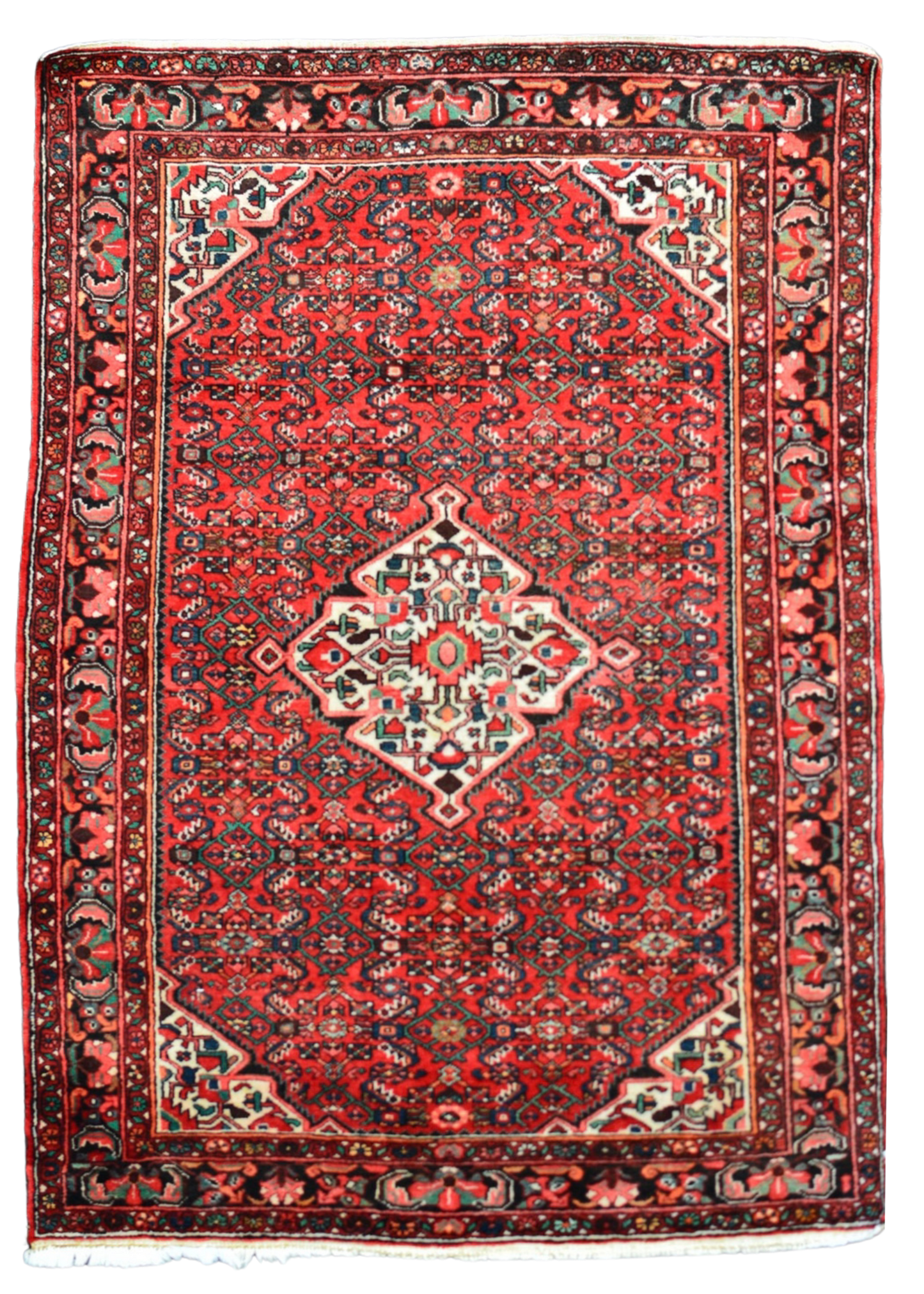 Persian Hamadan Rug - 5'0" x 7'0" (#101494)