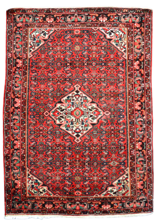 Persian Hamadan Rug - 5'0" x 7'0" (#101494)