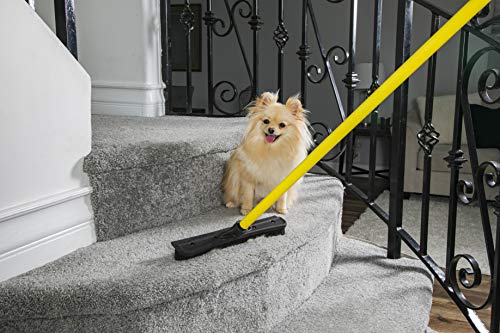 FURemover Broom, Pet Hair Removal Tool with Squeegee & Telescoping Handle